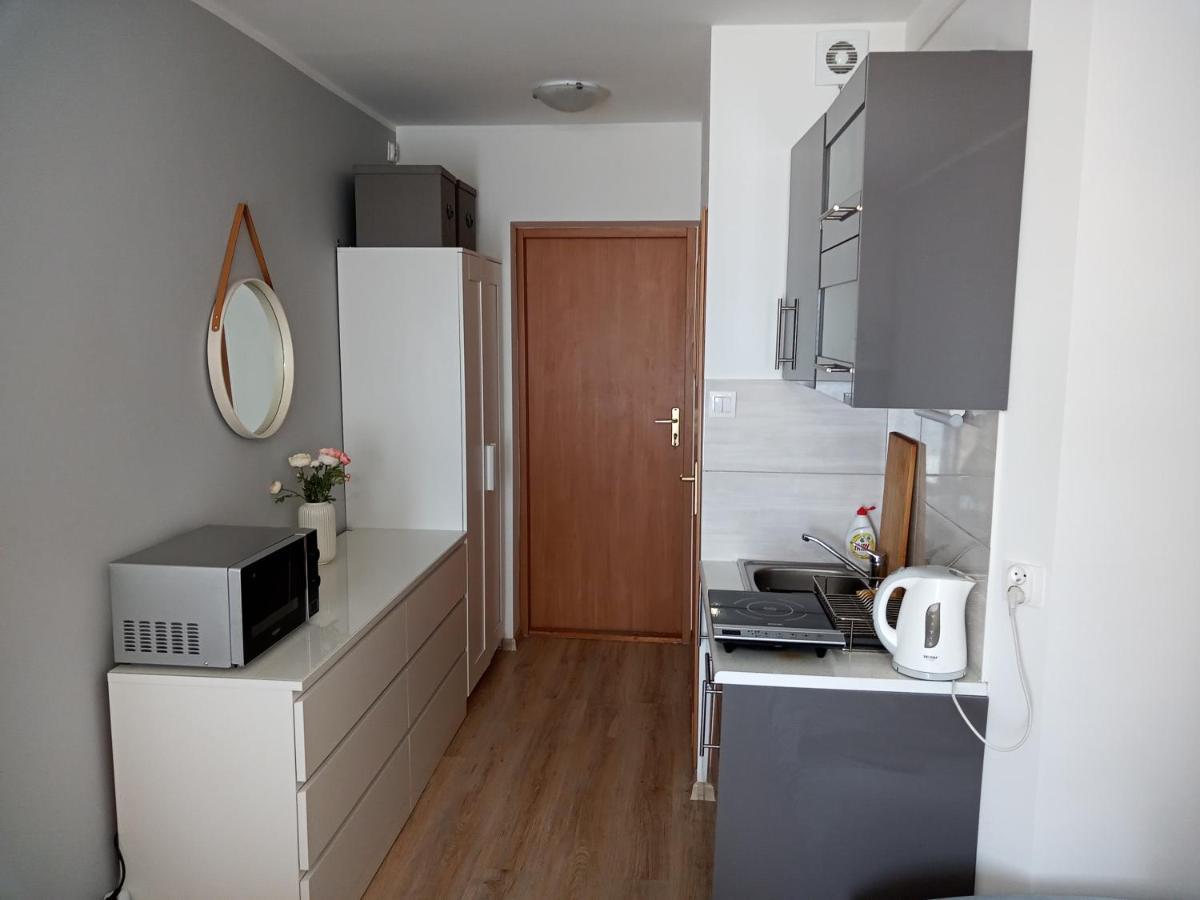 Apartament U Muzykow クリニツァ・モルスカ エクステリア 写真